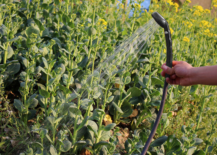 Tragbare Campingdusche